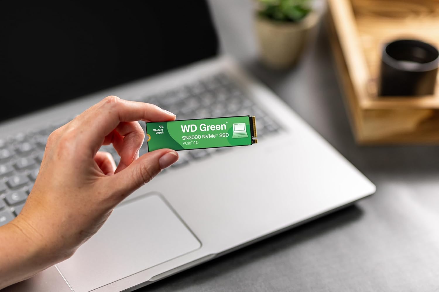 Western Digital Green SN3000 2To M.2 PCI 4.0 NVMe - image 2