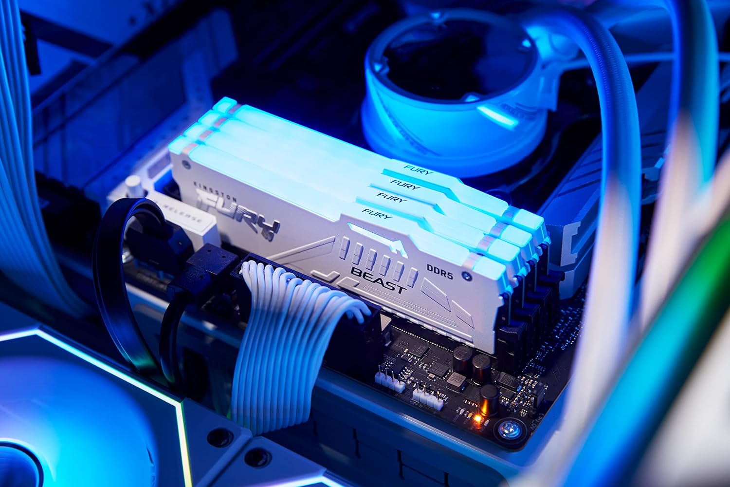 Kingston FURY Beast RGB 32Go (2x16 ) 5600 DDR5 CL36 Blanc - image 3