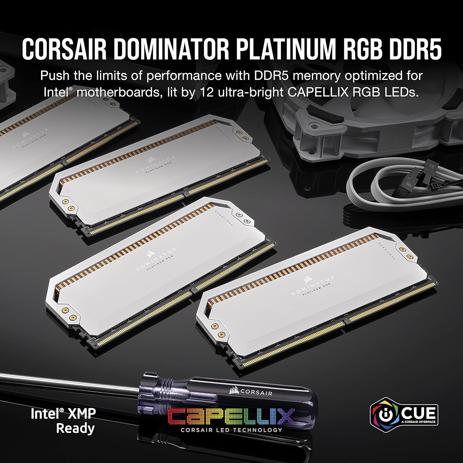 CORSAIR DOMINATOR PLAT. 64G 5600 DIMM - 64 Go (Kit de 2 x 32 Go) - DDR5 RGB Blanc - image 2