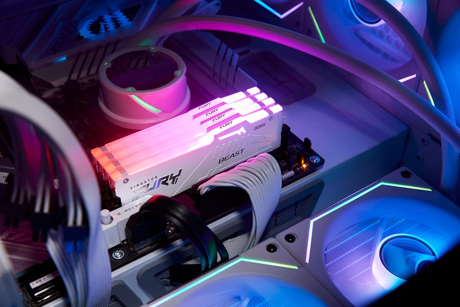 Kingston FURY Beast RGB 32Go (2x16 ) 5600 DDR5 CL36 Blanc - image 4