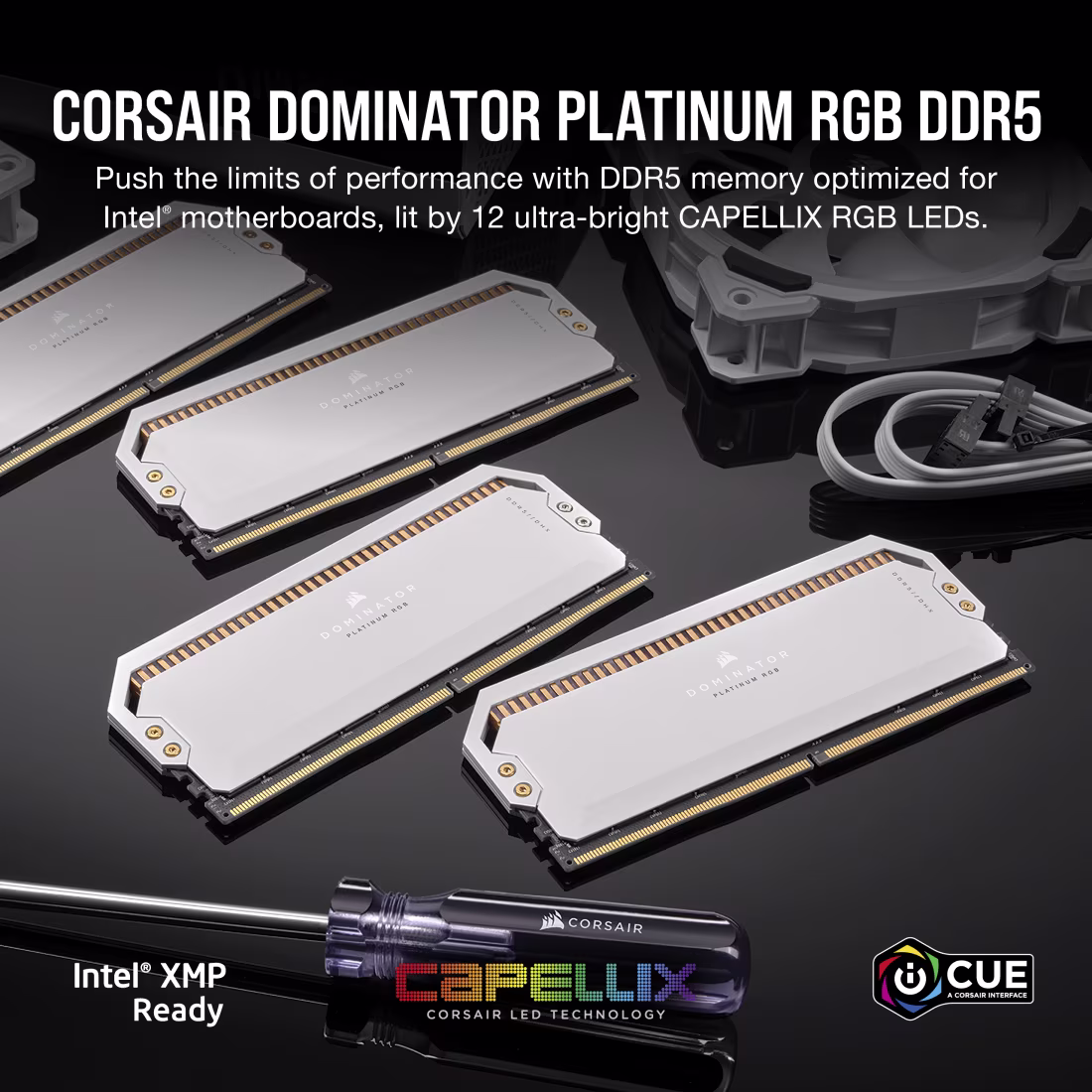 Corsair Dominator Platinum RGB DDR5 32Go (2x16Go) 6200MHz  - image 2