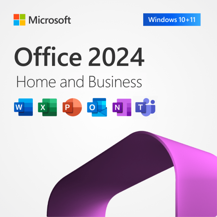Microsoft Office Home and Business 2024 Office suite Complète 1 licence