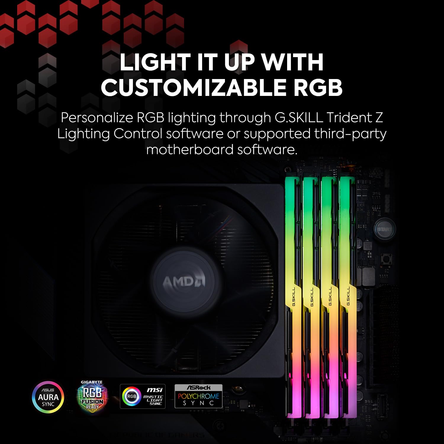G.Skill Trident Z Neo RGB 16 Go (2 x 8Go) DDR4 3600 MHz CL16 - image 3