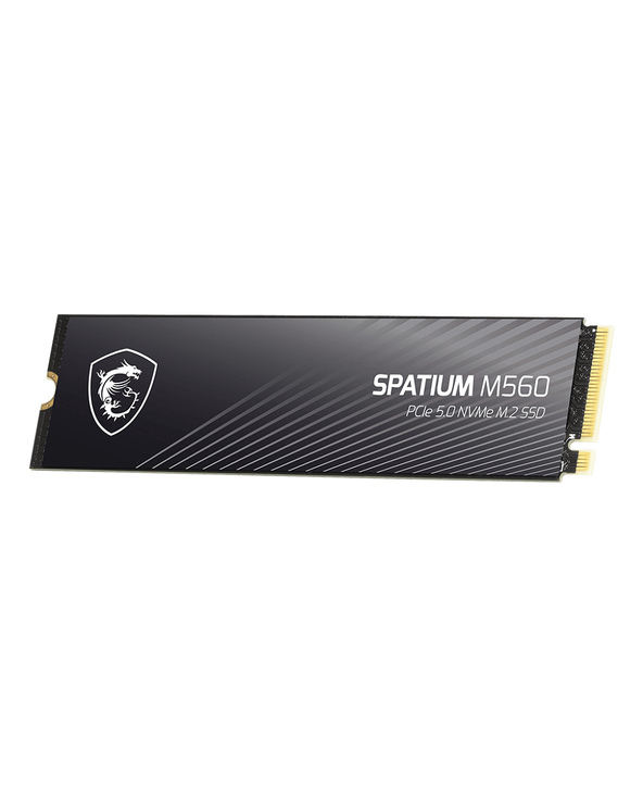 MSI SPATIUM M560 PCIe 5.0 NVMe M.2 1TB - image 3